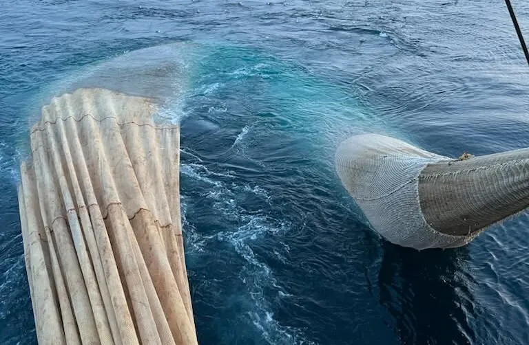 En av fangstene til «Strand Senior» den siste uken.