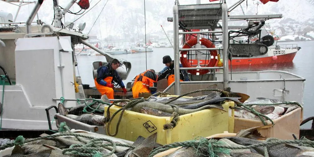 FERSKFISKORDNINGEN: Fiskarlaget etterlyser en tidligere oppstart av ferskfiskordningen, samt en reduksjon i kvantumet avsatt til ordningen.Illustrasjonsfoto: Terje Jensen