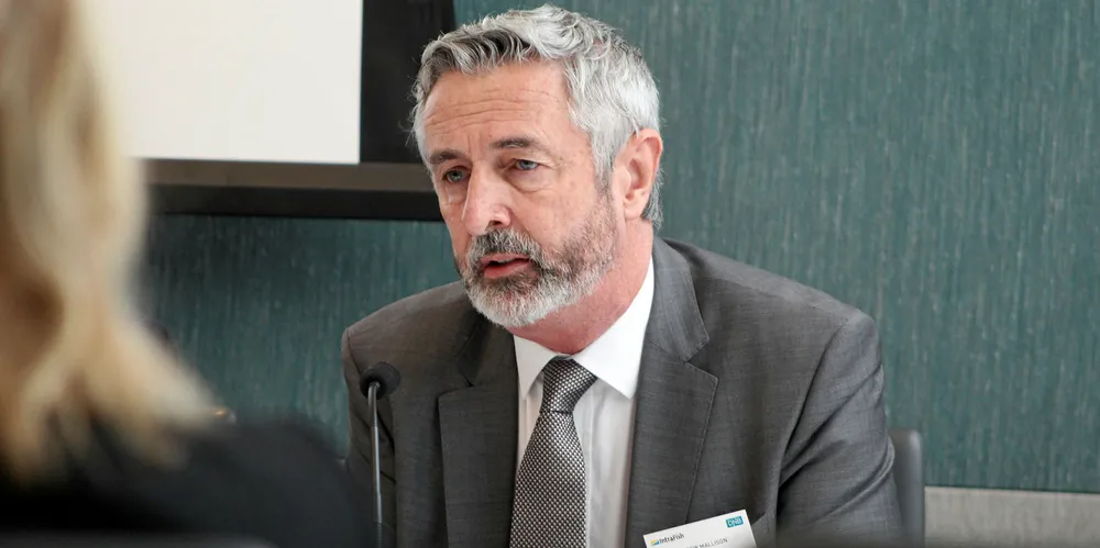 Independent Strategic Director Andrew Mallison.