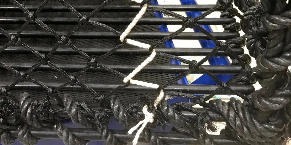 Det skal være råtnetråd i hummerteiner i tillegg til fluktåpning. Nederst i hummerteinens sidepanel eller endepanel skal det lages et hull der det kan trekkes gjennom et objekt med minimum tverrsnitt på 15 x 9 cm. Hullet skal deretter sys igjen med bomullstråd, som bare festes i begge ender.