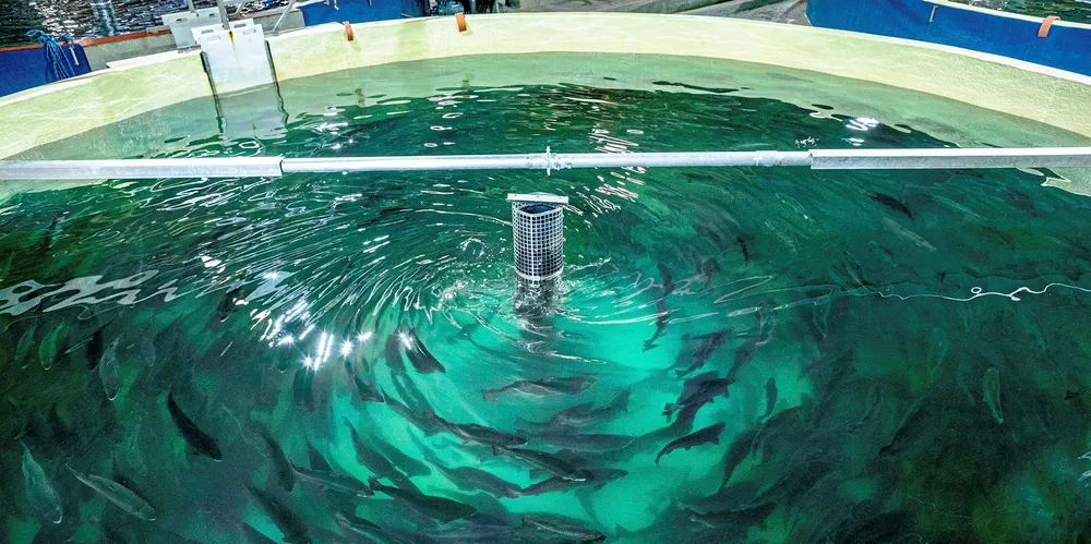 Pure Salmon's Polish land-based salmon farming operations.