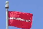 Halliburton shuns tender