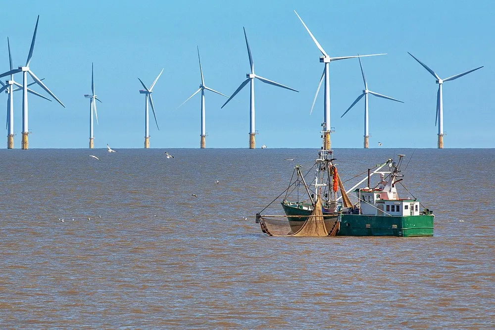 . Offshore wind developers often come into conflict with fishing interests during planning processes.