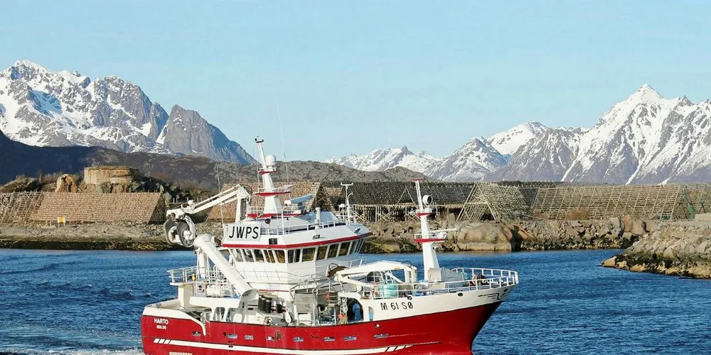 Snurrevadbåten «Harto» utsatte torskefisket til over påske for å få størst mulig uttelling på ferskfiskordningen.Foto: Frode Adolfsen
