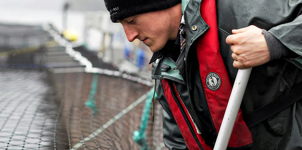 In addition to impacting more than 1,500 jobs in the region, the decision will mean a potential loss of over CAD170 million ($135 million/€111 million) to BC’s salmon farmers from having to euthanize 10.7 million young fish.
