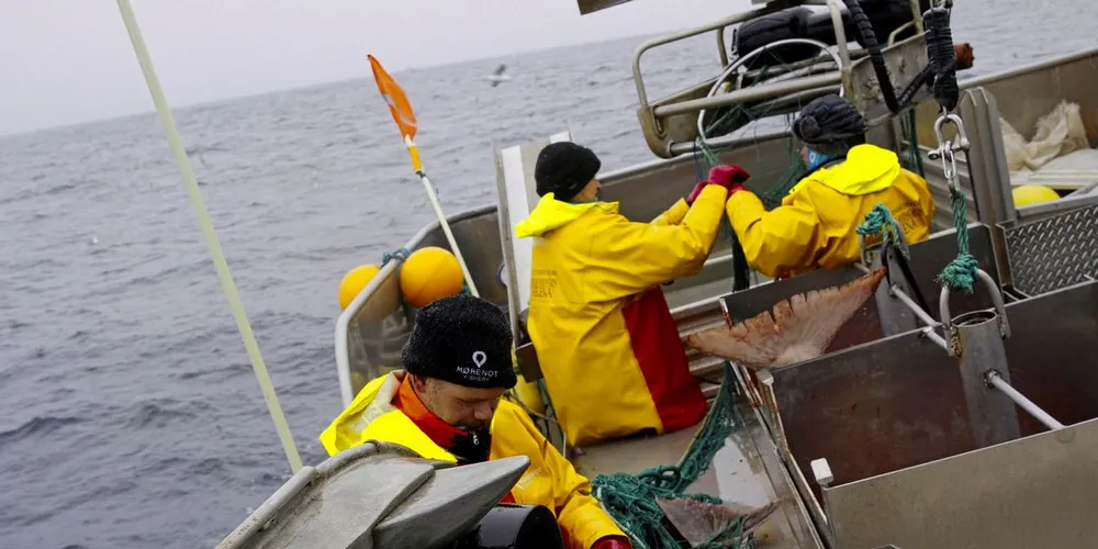 Differensiert flåte: Norge som fiskerinasjon må ha en differensiert fiskeflåte, både små og store kystfiskebåter, samt havgående fiskebåter, både konvensjonelle og trålere, for å hevde suverenitet i Norsk Økonomisk Sone, påminner skribenten.Ill.foto: Arne Fenstad