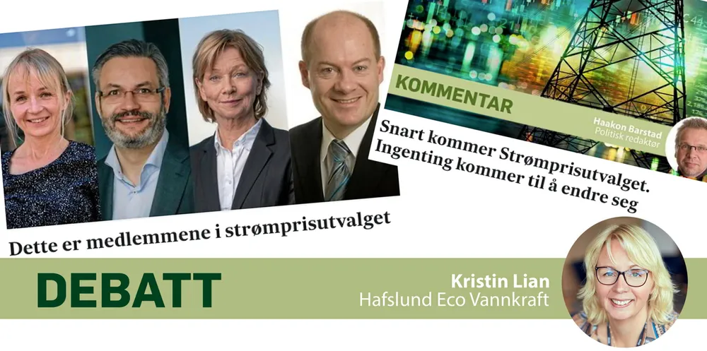 – Hva jeg ville ment om jeg satt i Strømprisutvalget