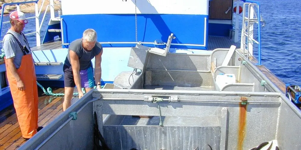 Det er mange år siden norske fiskere kunne fiske og levere ål. Arkivfoto: Gunn Hedberg