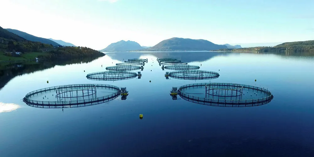 Nordic Halibut's sea cages in Norway.