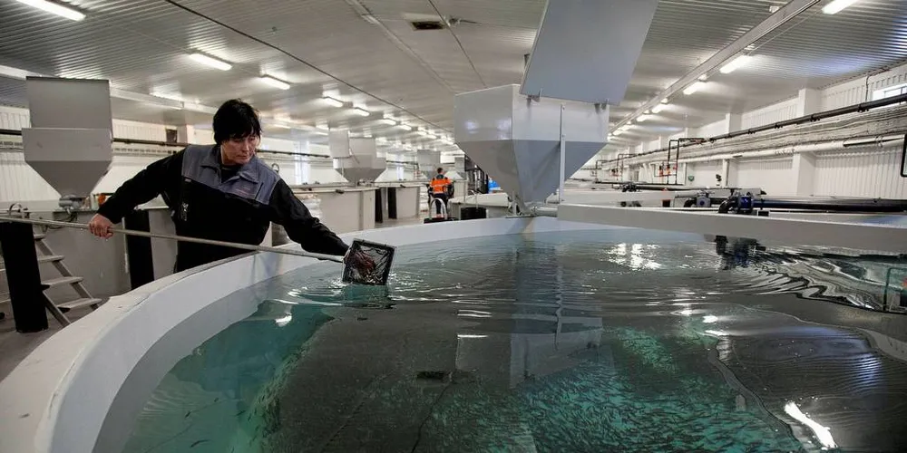 FARLIG: Vann i et RAS-anlegg kan også bli livsfarlig for fisken. Foto: Alltech