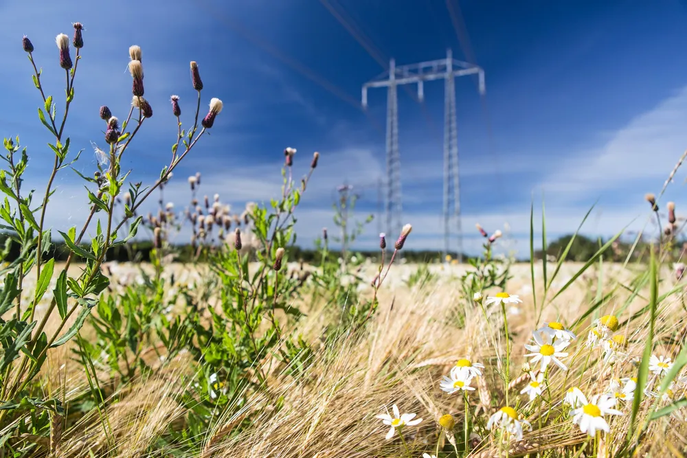 Kan du drøye med kraftsalget til kveldstid, får du tre ganger bedre betalt nå i sommer enn om du må selge midt på dagen. Priskurven i NO2 er helt forandret på få år.