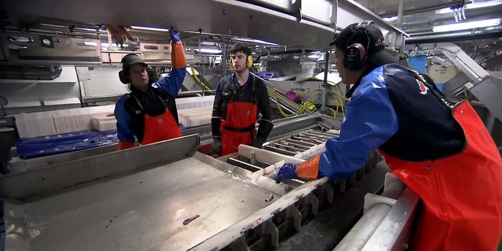 STOR INTERESSE: "Hermes" deltakelse i BBC-serien World's Toughest jobs har skapt stor interesse for det norske rederiet fra Finnmark. Her står britiske Jessica (21), fast mannskap om bor, Iain Jung og Jamie (24) ved sløyelinjen om bord på "Hermes". Foto: Skjermdump fra BBC-serien World Toughest jobs