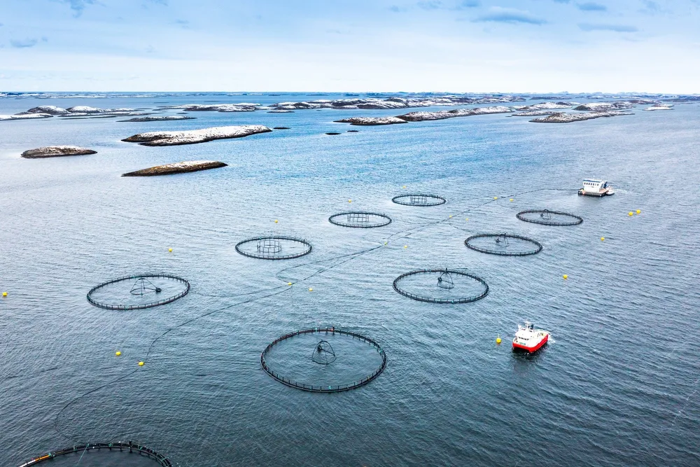 Biomar overtar eierskapet av LetSea.