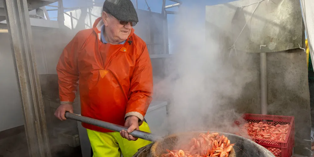 Morten Aleksandersen og faren Tom fisker reker i Oslofjorden med båten «Topsy» fra Utgårdskilen i Hvaler kommune og er med i en positivt utvikling for reker.