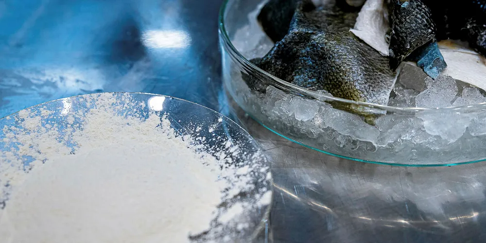 Fiskeskinn er spesielt rikt på kollagen. For at det skal bli brukbart kollagenpulver, må prosessene skreddersys for hver enkelt fiskeart.