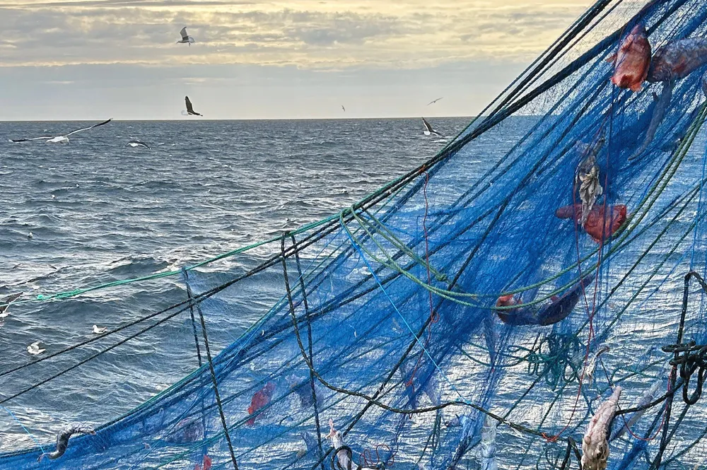 Toktleder Gjermund Langedal forteller at samarbeidet med fiskerne fungerer bra: – Mange ganger må de flytte redskapene sine, fordi de står i veien for der vi skal sokne. Nesten utelukkende møter vi positive holdninger.