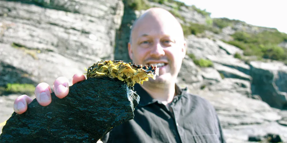 Kjendiskokk Christoffer Haatuft tar gjerne i bruk nye råvarer fra havet.