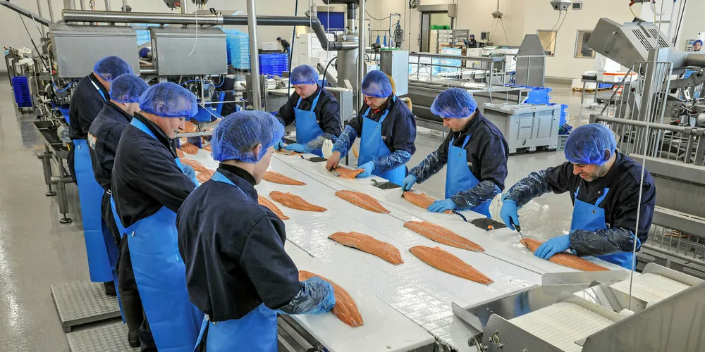 'Salmon is too expensive, the price is too high and customers are turning to other species and products.'