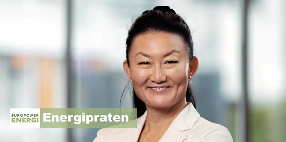 Etter et år i Norges Geologiske Undersøkelse (NGU), starter Hege Brende som toppsjef i Rainpower over sommeren.