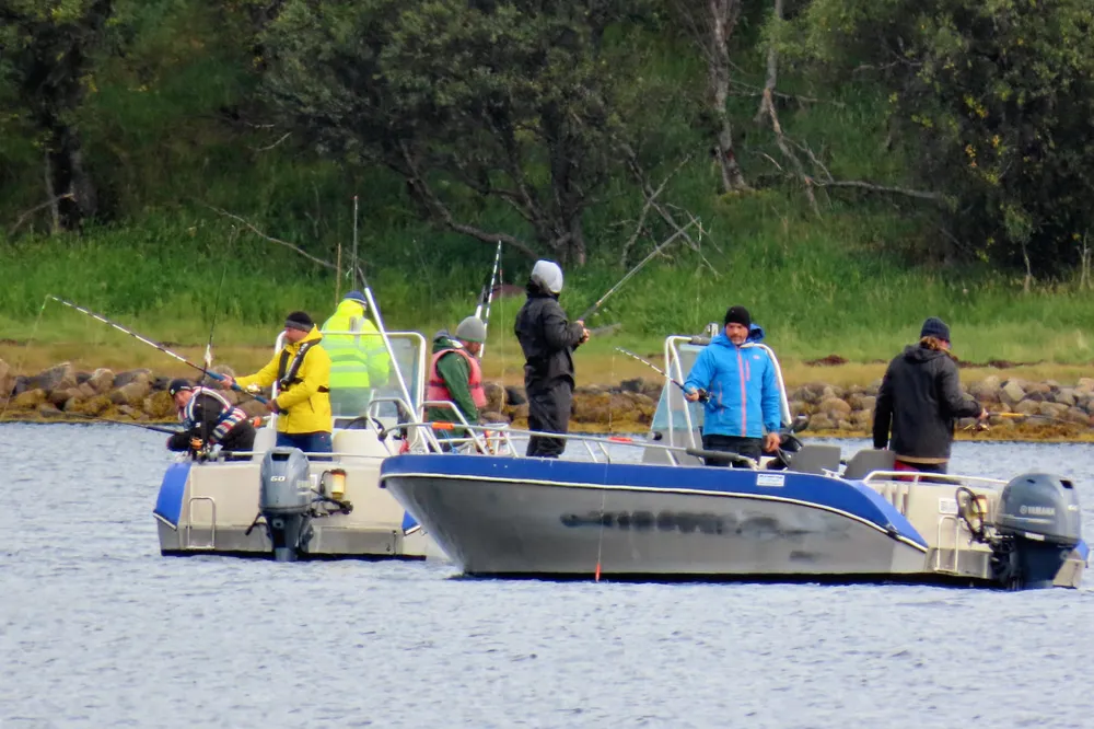 Turistfiskekvotene må halveres, mener Fiskeribladet.