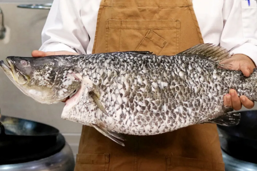 Barramundi Group's farmed barramundi is finding good markets in Singapore and Brunei.