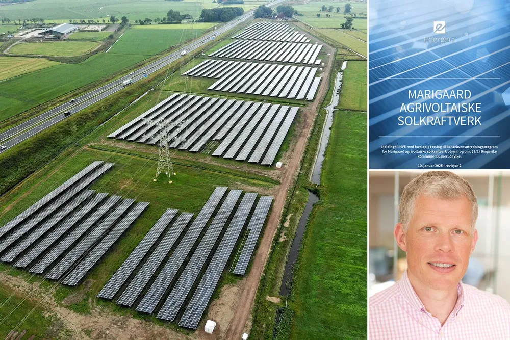 Til venstre: Energeias solkraftverk Drachtsterweg i Nederland. Daglig leder Jan Egil Markussen i Energia (innfelt).