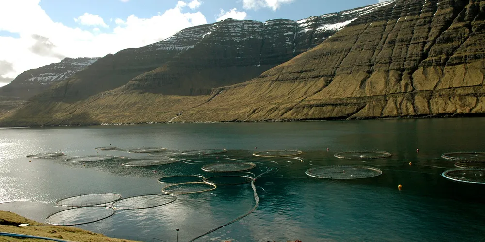 Bakkafrost has been hit by low volumes and high mortality costs.