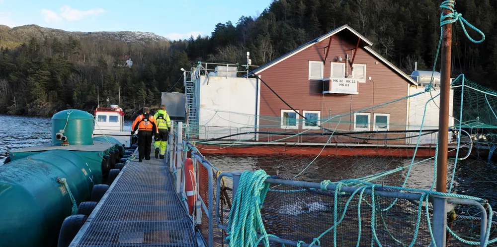 Sjømatbedriftene mottar ukentlig henvendelser fra lokalt eide selskaper som er bekymret for regjeringens nye skatteregler for laksenæringen.