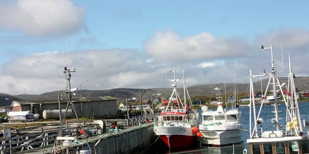 Fartøy i åpen og lukket gruppe i kystfartøygruppens fiske etter torsk, hyse og sei nord for 62-graden kan delta i distriktskvoteordningen. Foto: Terje Jensen