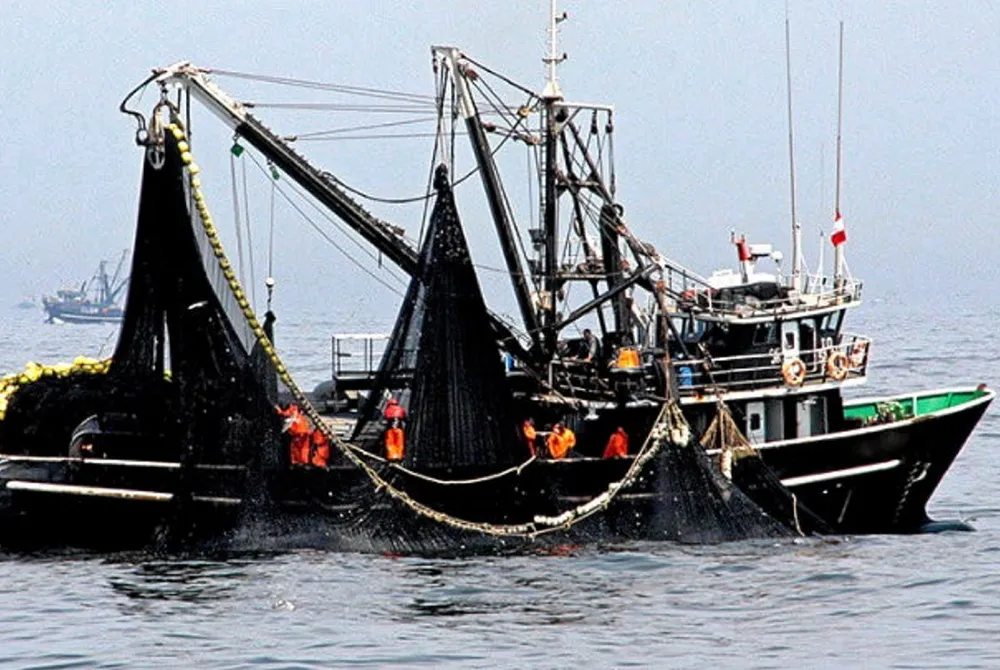 Daily catches have averaged 51,568 metric tons per day, according to industry numbers.