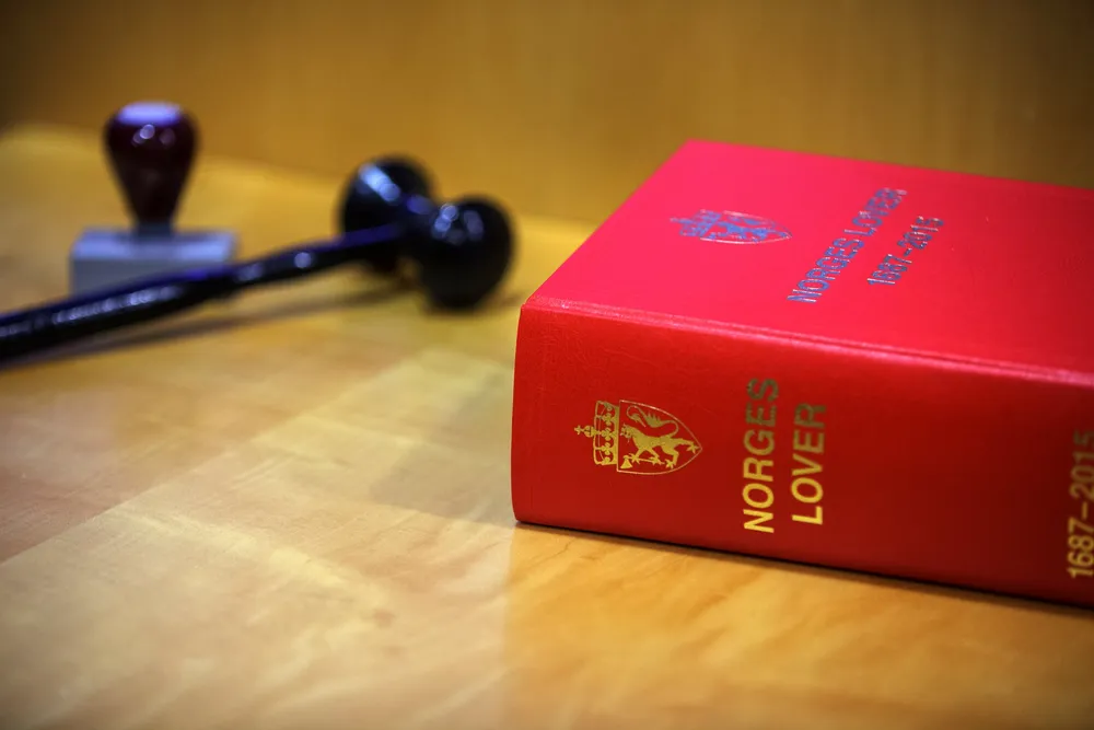 Det blir domstolenes oppgave å fylle standardene med innhold. Domstolene avgjør bare én sak om gangen og har ikke som oppgave å tenke på helheten, skriver innleggsforfatteren.
