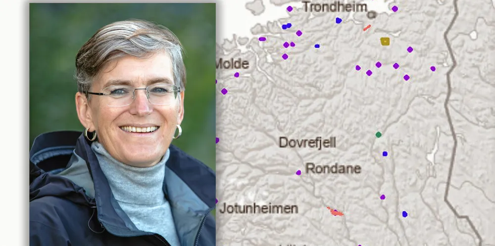 Direktør i Miljødirektoratet, Ellen Hambro, stusser over at det er planlagt nedbygging av mer natur til fritidsboliger enn til energiformål.