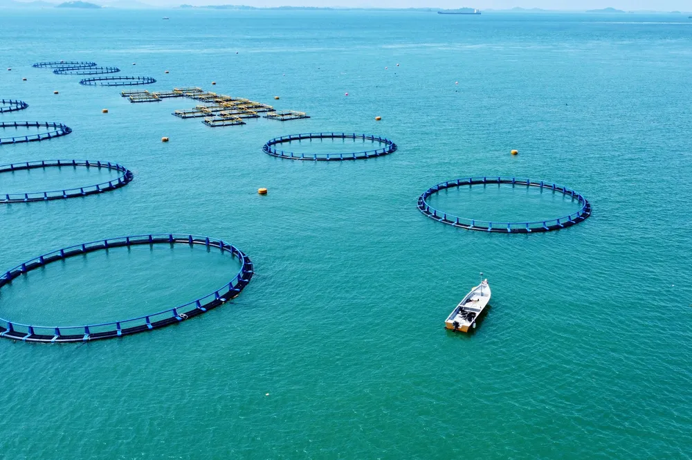'In essence, the salmon industry has set a benchmark for what technology can achieve in aquaculture, but the non-salmon species sector have the potential to realize even greater relative gains by adopting these innovations and transforming operations and sustainability.'