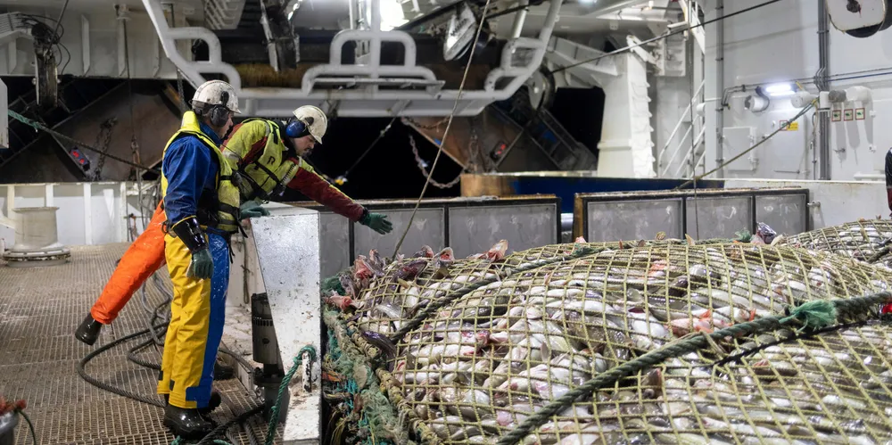 Hovedtillitsvalgt i Lerøy Havfisk reagerer sterkt på at Kystfiskarlaget kimser av at ansatte i havfiskeflåten får reduserte inntekter.