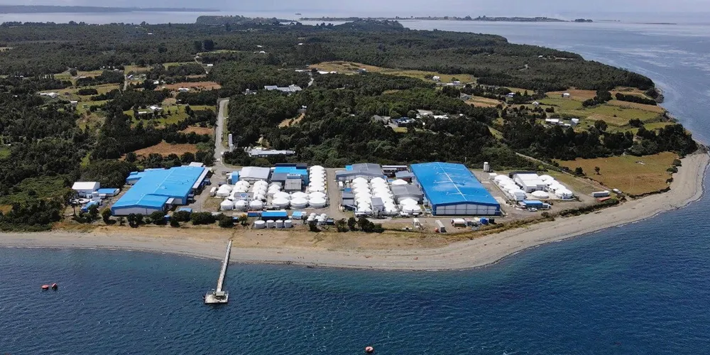 The company's first commercial harvest in December produced around 12 metric tons, but it expects to harvest roughly 100 metric tons of king salmon by June and 300 metric tons by the same time next year.