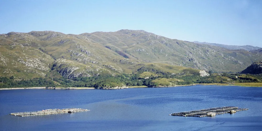 Salmon Farm - RSPCA