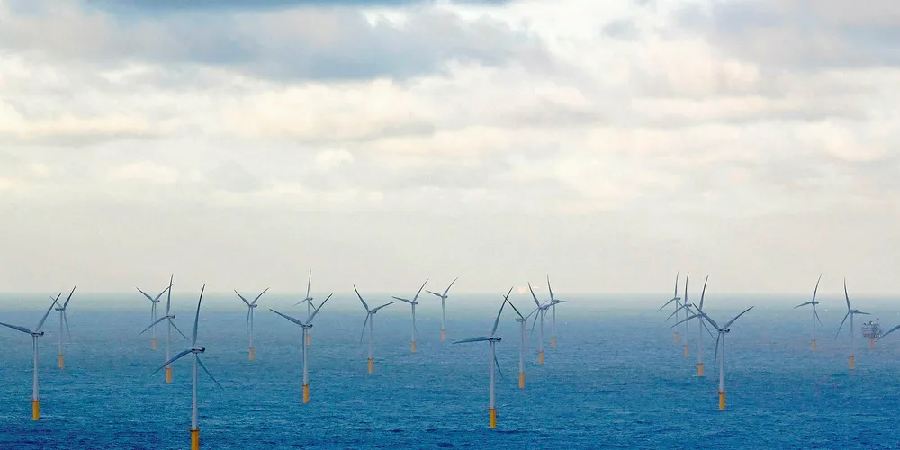 The Belwind wind farm in nearby Belgian waters
