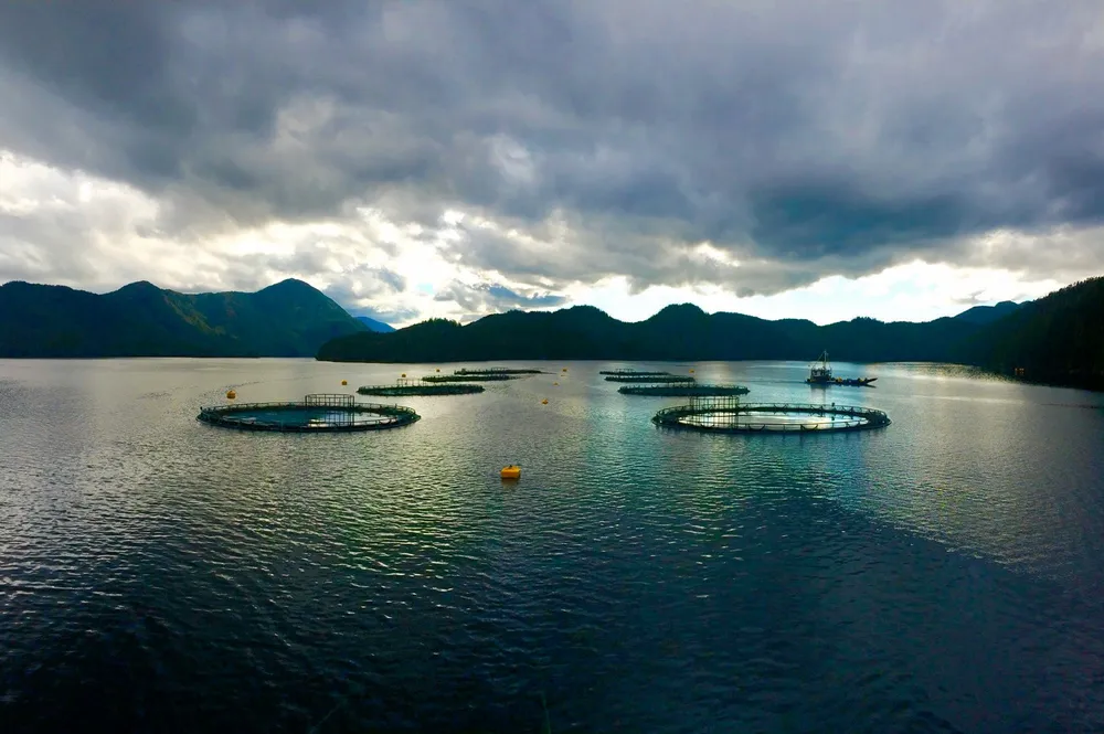 Mowi's Klemtu salmon farm in British Columbia, Canada.