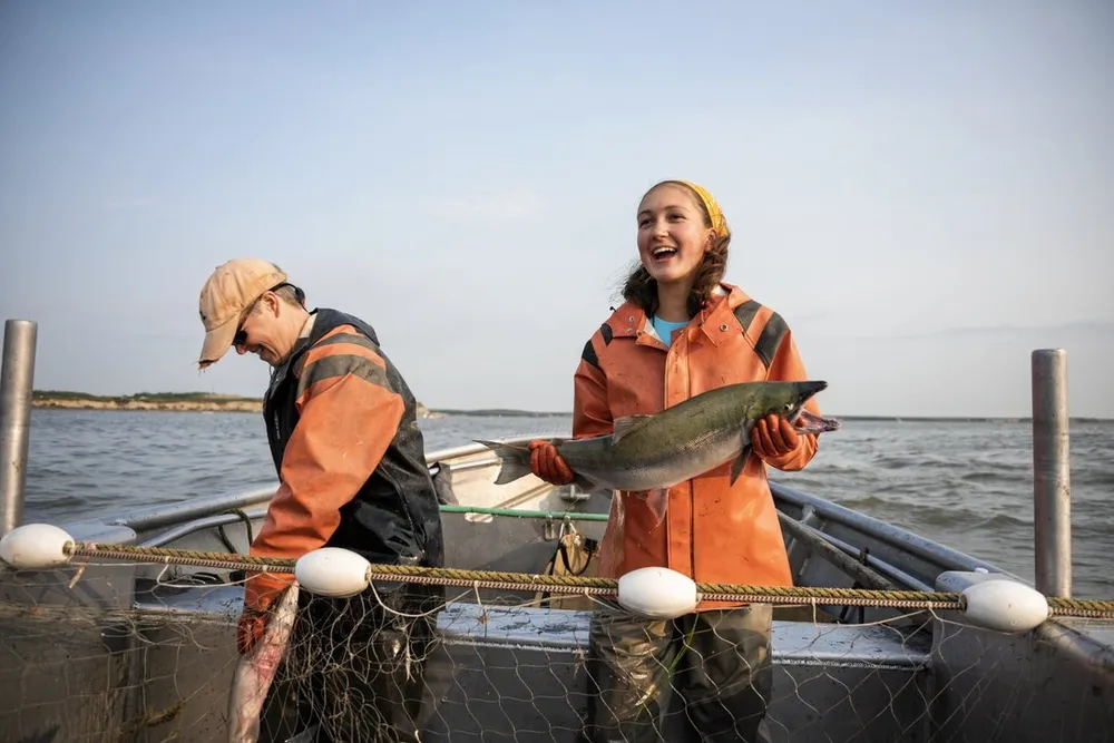 "It's as tight as I've ever seen it," said one seafood buyer referring to the current wild Alaska sockeye market.