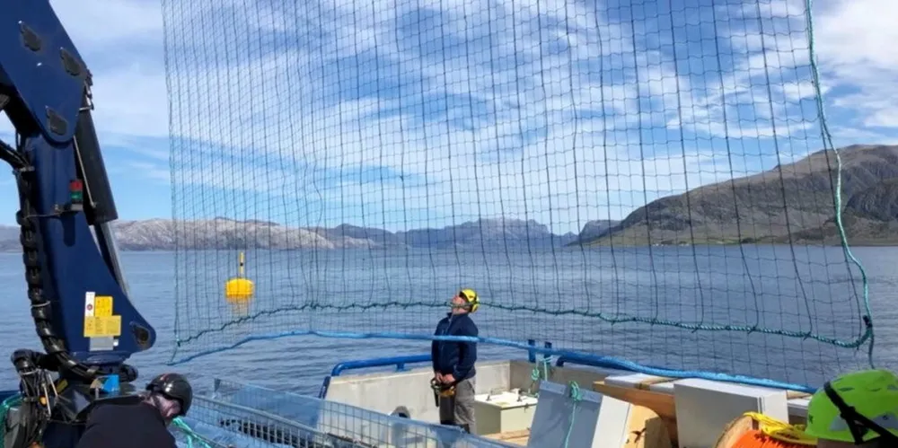 'This project will last about a year, but Mowi is also considering testing the technology elsewhere next year,' Harbor COO Bernt Aage Lie said.