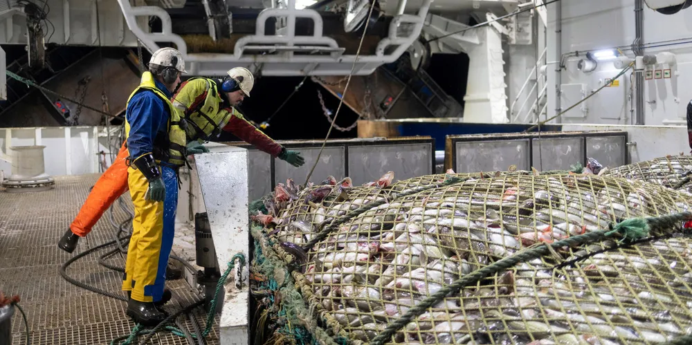 Lerøy Havfisk har ti trålere i selskapene Nordland Havfiske, Finnmark Havfiske og Hammerfest Industrifiske.
