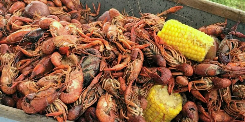 Country-of-origin menu label now required for shrimp, crawfish sold in Louisiana