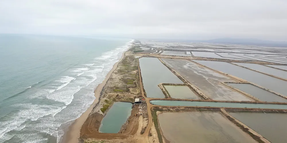 Ecuador shrimp farming. Shrimp ponds.