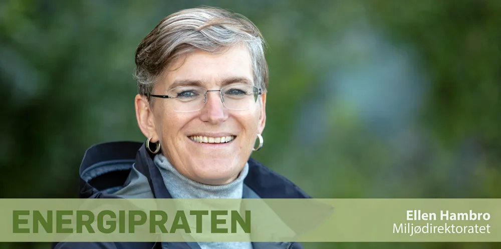 Ellen Hambro, direktør i Miljødirektoratet.