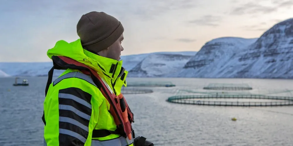 Arnarlax driver lakseoppdrett nordvest på Island