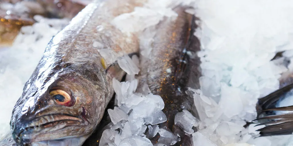 Fish counter retail supermarket.