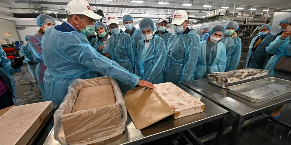 Russian Fishery Company's pollock processing facility in Primoriye. The company is one of several ramping up value-added production.