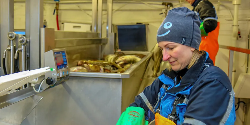 FÅR SAMME PERMISJONSORDNING: Natalia er ansatt ved J.M. Nilsen as på Andøya i Vesterålen og første del av tiltakspakken har neppe noe effekt for hennes arbeidshverdag. Bildet er fra en reportasje i januar i år.