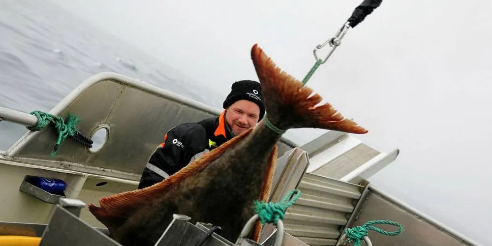 SKEPTISK: Tom Vegar Kiil på kveitefiske i vinter. Framover må kveitene over to meter kastes på havet igjen.Foto: Arne Fenstad