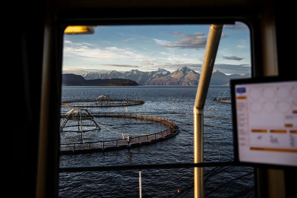 En ekstra lakseeskattskatt vil eiernes mulighet til å bygge opp buffer i gode tider svekkes, og kan gjøre dem enda mer sårbare for utenlandsk oppkjøp i dårlige tider. Her fra et av Lerøy Auroras anlegg ved Skjervøy i Nord-Troms.